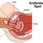 female g spot