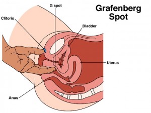 female g spot